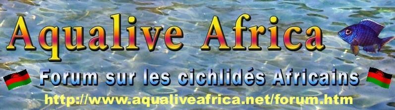 aqualiveafrica.net
