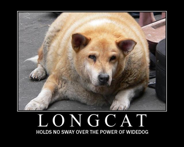 Long Cat Vs