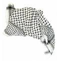 صور من فلسطين