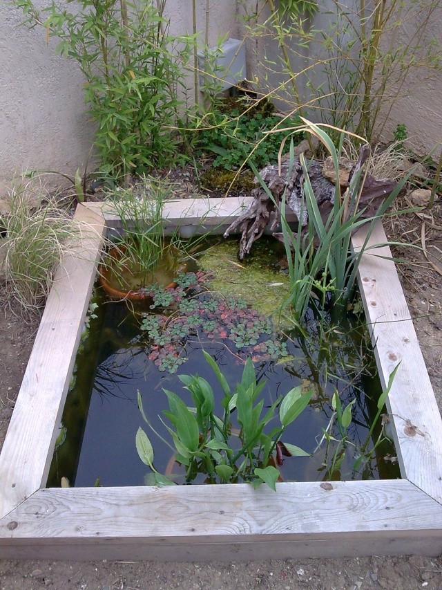 bassin de jardin en hauteur