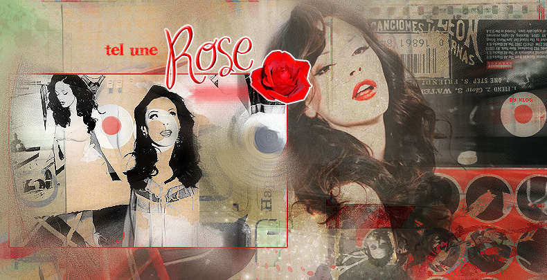 rose2b10.jpg