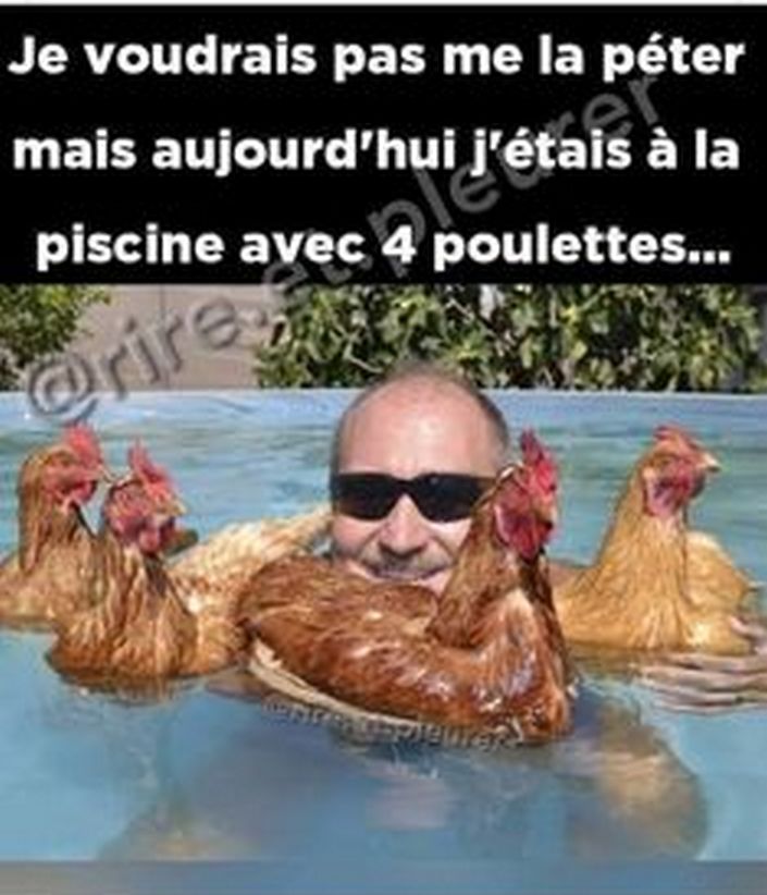 poulet10.jpg